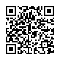 QR Abena Curi-Med Film Roll Folienverband 15cmx10m