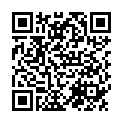 QR Bichsel Händedesinfektionsmittel Flasche 500ml