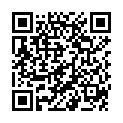 QR Spagyros Zincum Metall Globuli C 15 Grösse 3 Multicl 2g