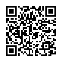 QR Dixa Eistee Bio Ingwer 150g
