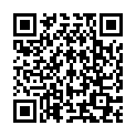 QR Syoss Baseline 3-8 Sweet Brunette
