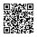 QR Пастилки Haspe черносмородиновые без сахара 36 шт.