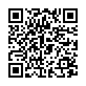 QR Sonnet Allesreiniger lt Fl 0.5