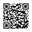 QR SKJUR POS-Display 13Stk